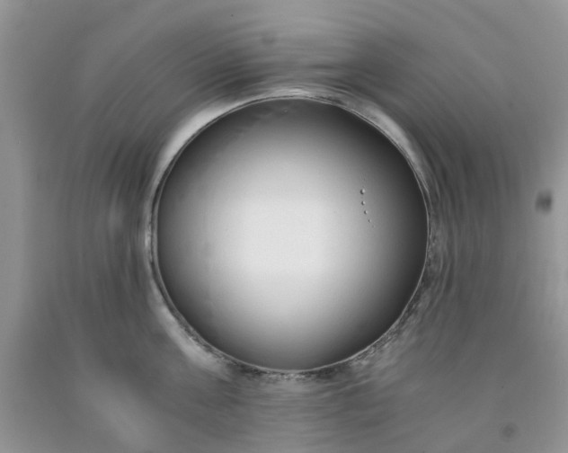 X0000091680811200709061103