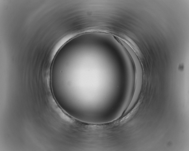 X0000091680812200709061103