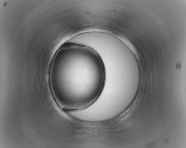 X0000091680813200709061103