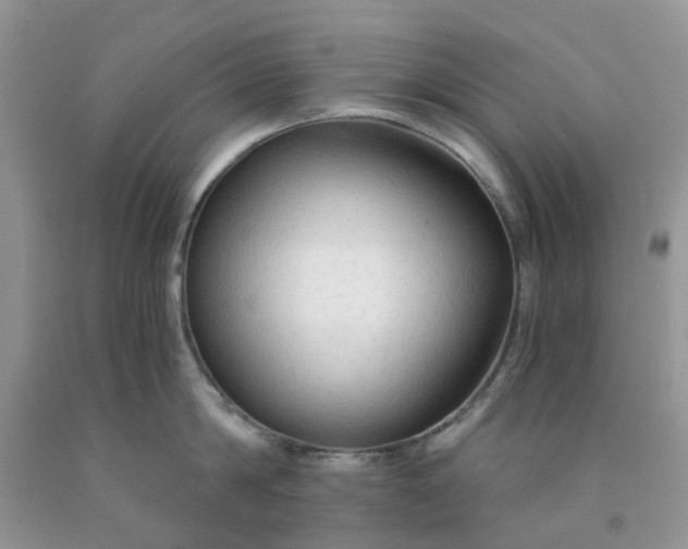 X0000091680814200709061103