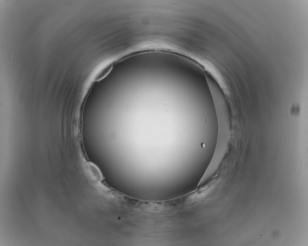 X0000091680815200709061103