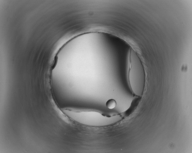 X0000091680816200709061103