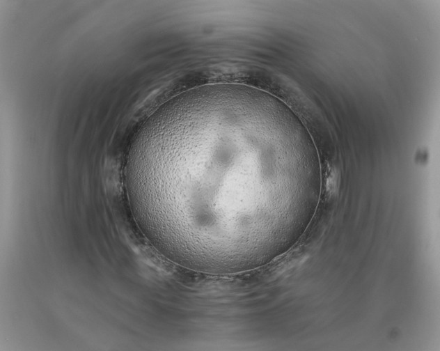 X0000091680819200709061102