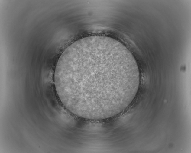 X0000091680820200709061102