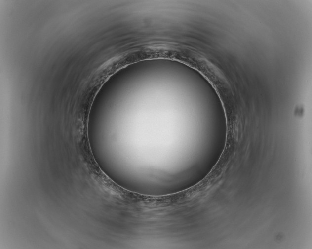 X0000091680821200709061102