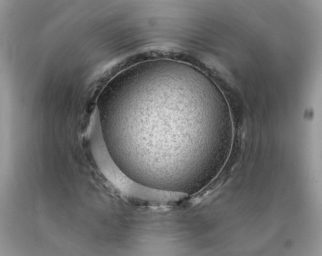 X0000091680822200709061102