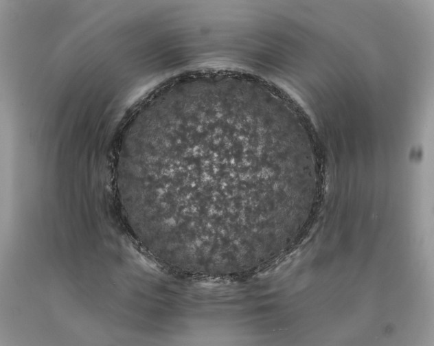 X0000091680823200709061102
