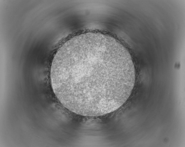 X0000091680824200709061102