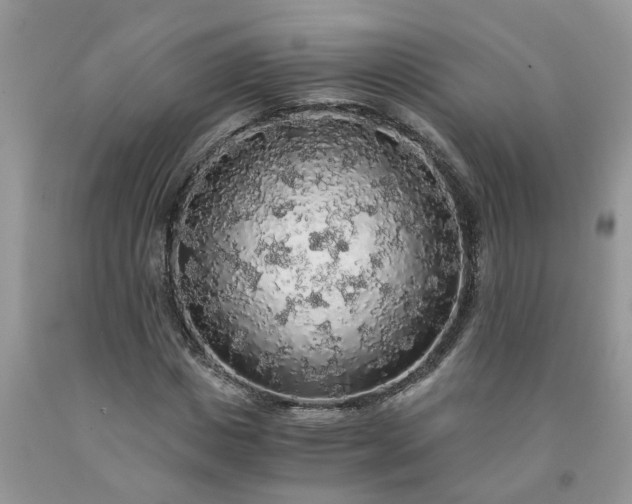 X0000091680825200709061102