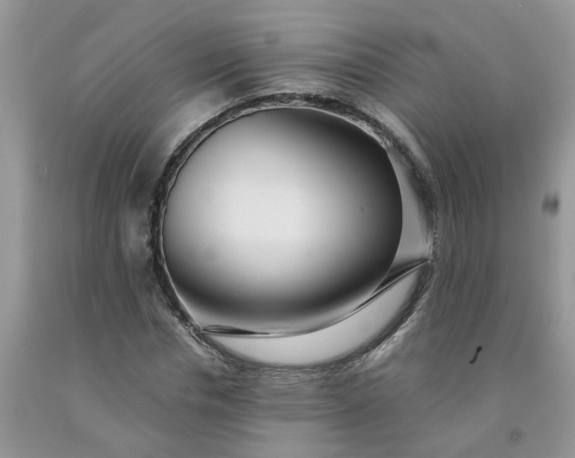 X0000091680826200709061102