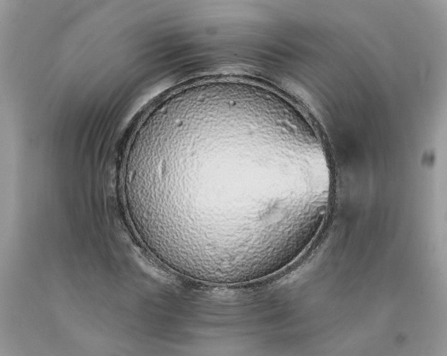 X0000091680827200709061102