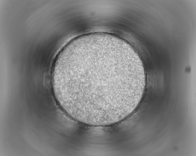 X0000091680828200709061102