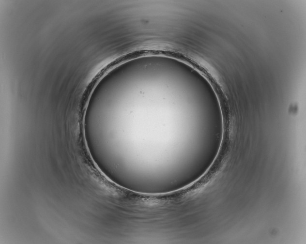 X0000091680829200709061102