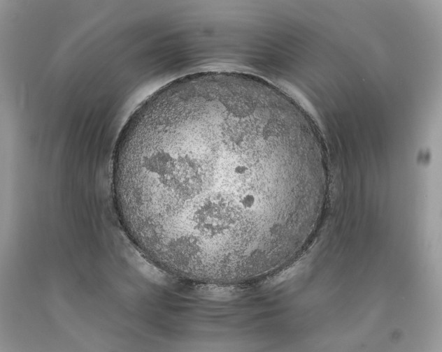 X0000091680831200709061102