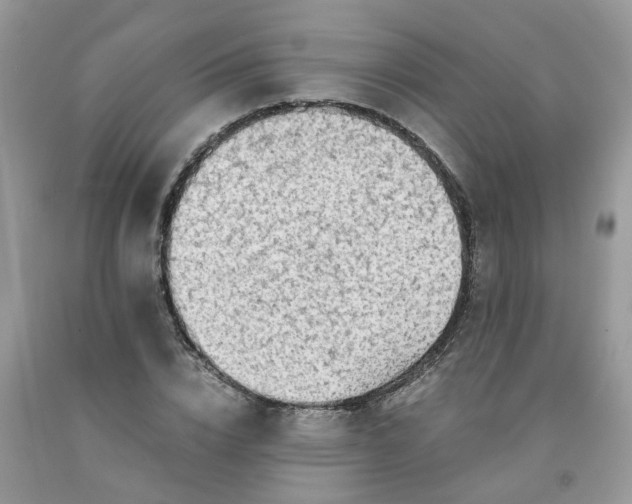 X0000091680832200709061102