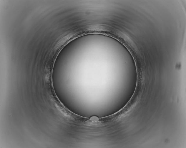 X0000091680833200709061102