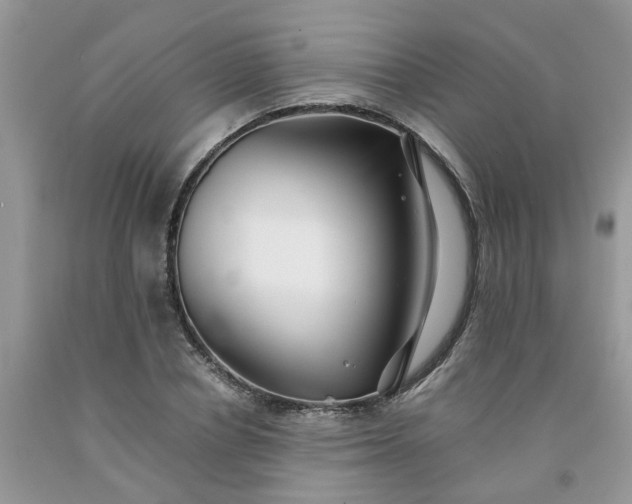 X0000091680834200709061102
