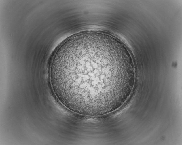 X0000091680835200709061102