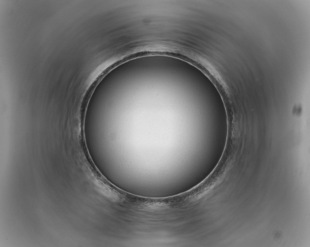 X0000091680837200709061102