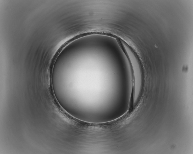 X0000091680838200709061102