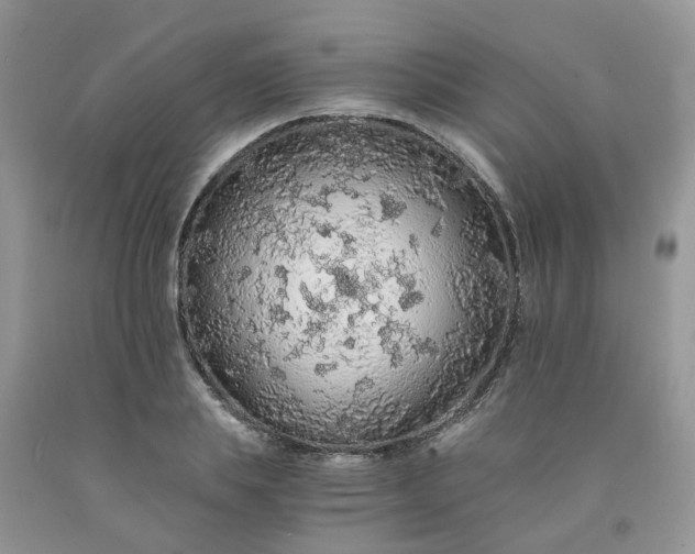 X0000091680839200709061102