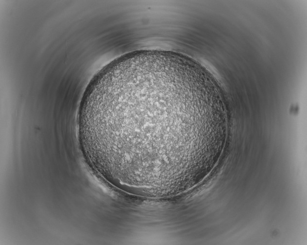X0000091680840200709061102