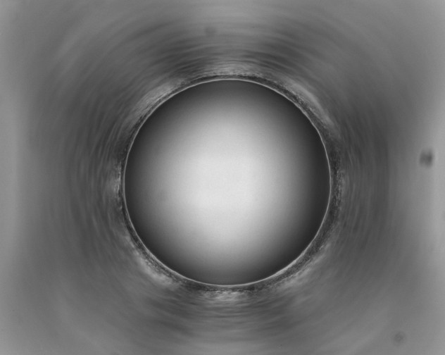 X0000091680841200709061102