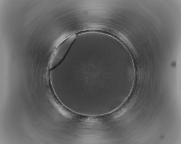 X0000091680842200709061102