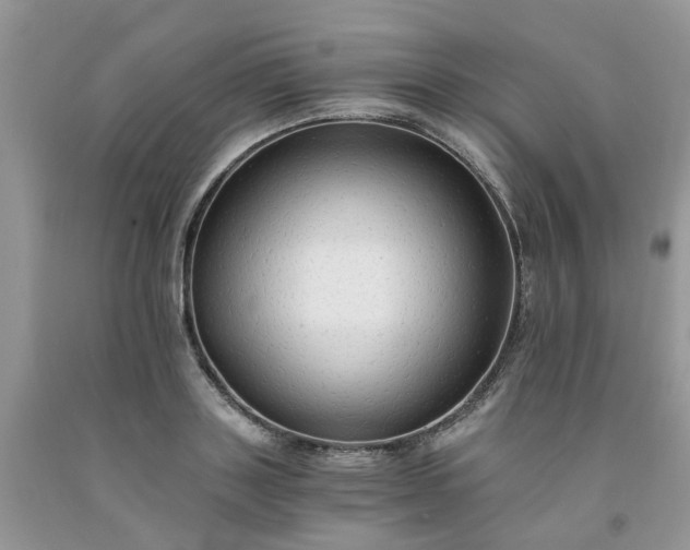 X0000091680843200709061102