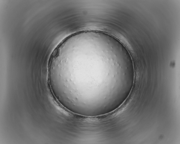 X0000091680844200709061102
