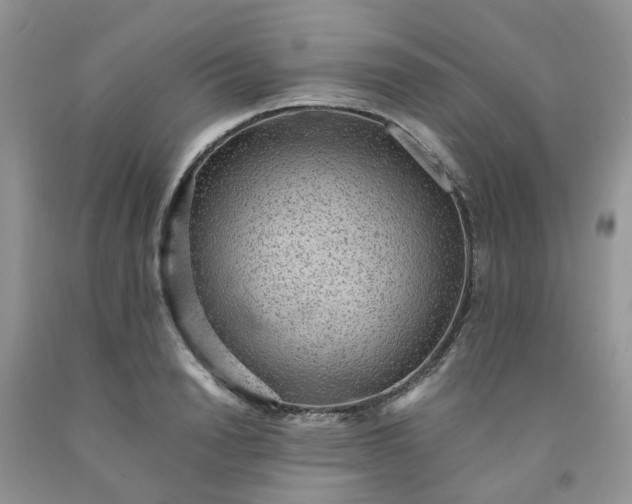 X0000091680846200709061102