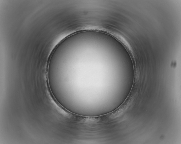 X0000091680847200709061102