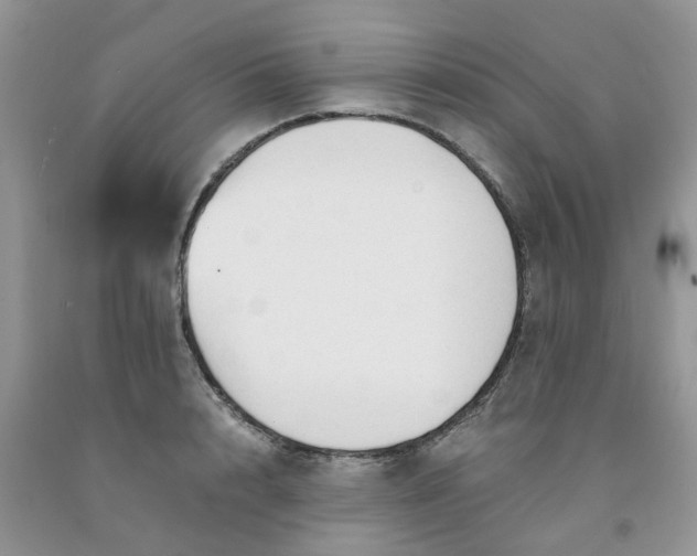 X0000091680848200709061102