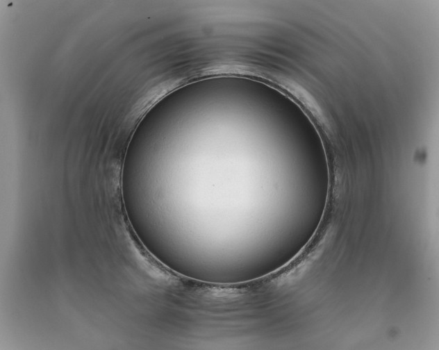 X0000091680849200709061102