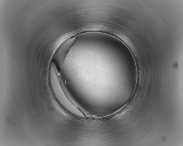 X0000091680850200709061102