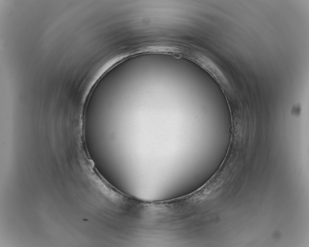 X0000091680852200709061102