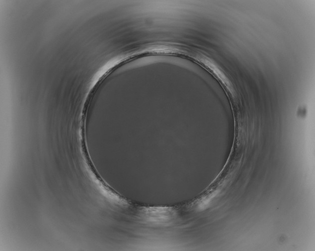 X0000091680853200709061102