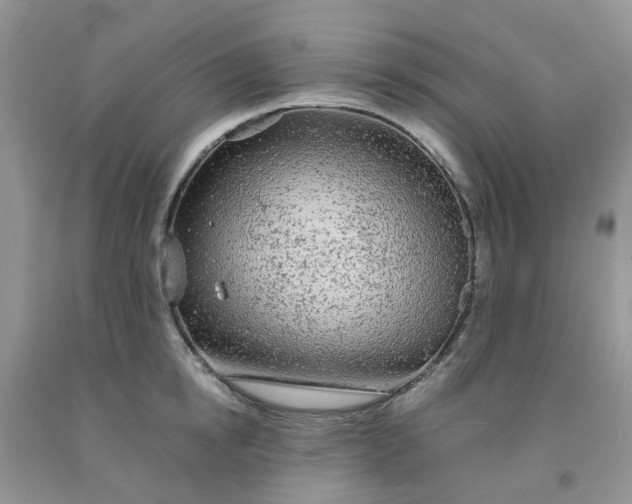 X0000091680854200709061102