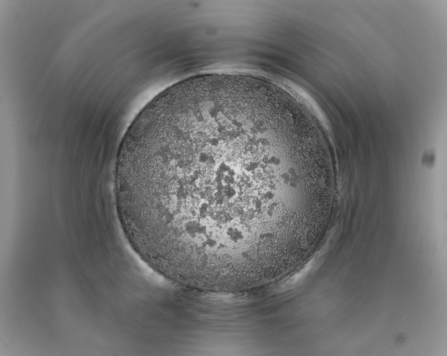 X0000091680855200709061103