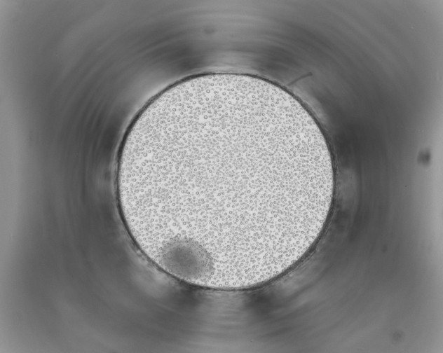 X0000091680856200709061103