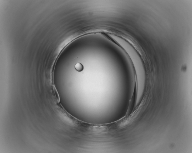 X0000091680858200709061103