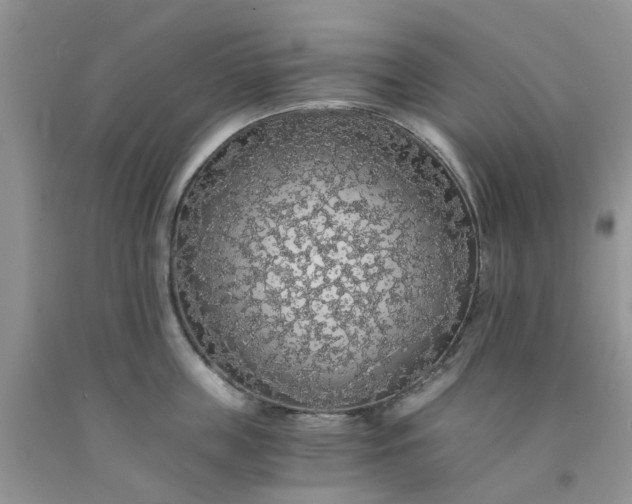 X0000091680859200709061103
