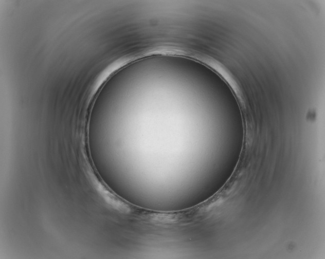 X0000091680861200709061103