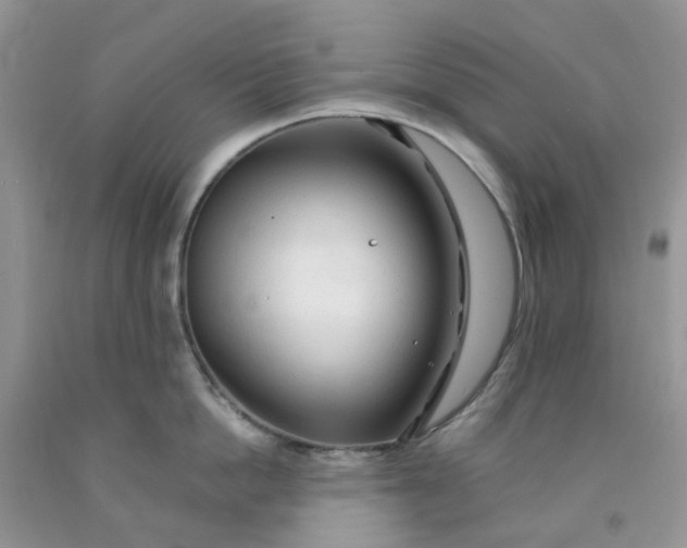 X0000091680862200709061103