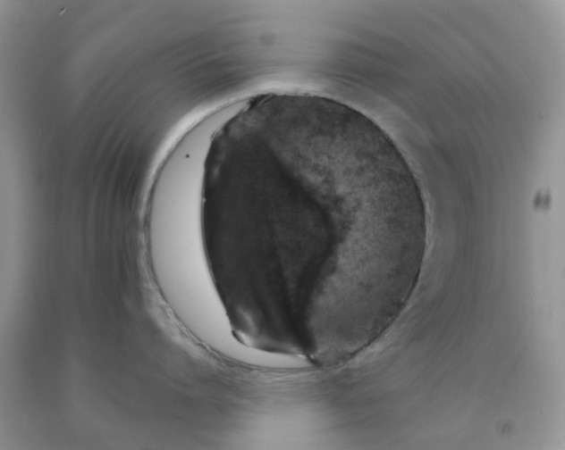 X0000091680864200709061103