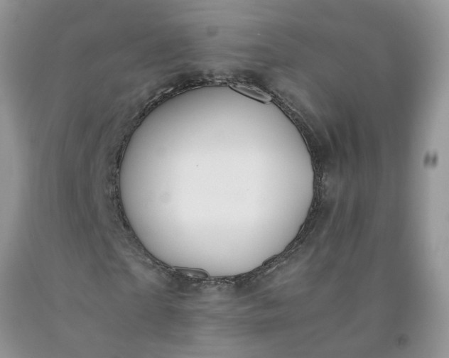 X0000091680865200709061102