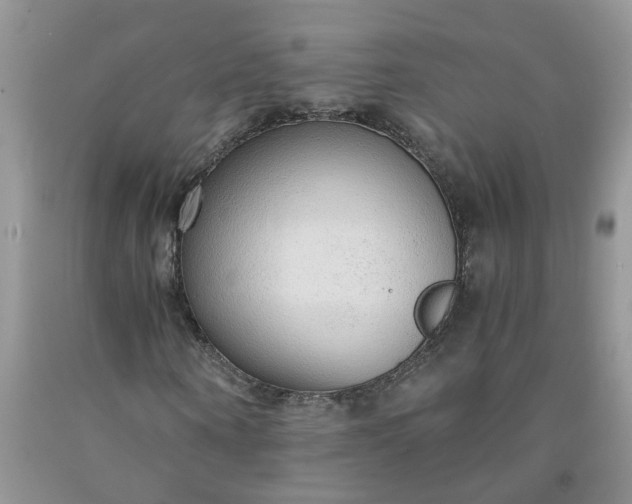 X0000091680866200709061102
