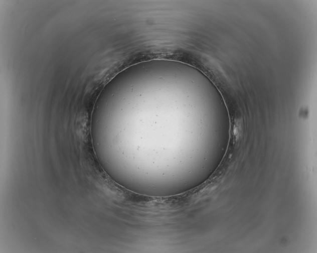 X0000091680867200709061102