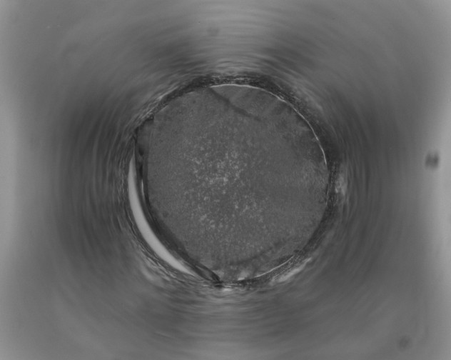 X0000091680868200709061102