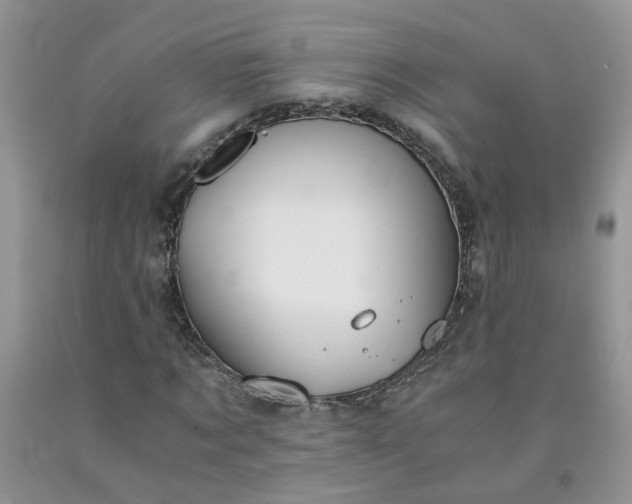 X0000091680869200709061102